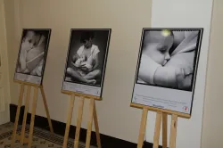 			Obrázek fotogalerie  - zahájení fotografické výstavy Veřejné zdraví začíná kojením (2012)
	