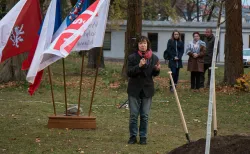 			Image photo gallery  - Planting the Linden of the Republic
	